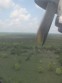 plane over borneo